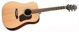Walden D800EW Western Guitar (Natural)