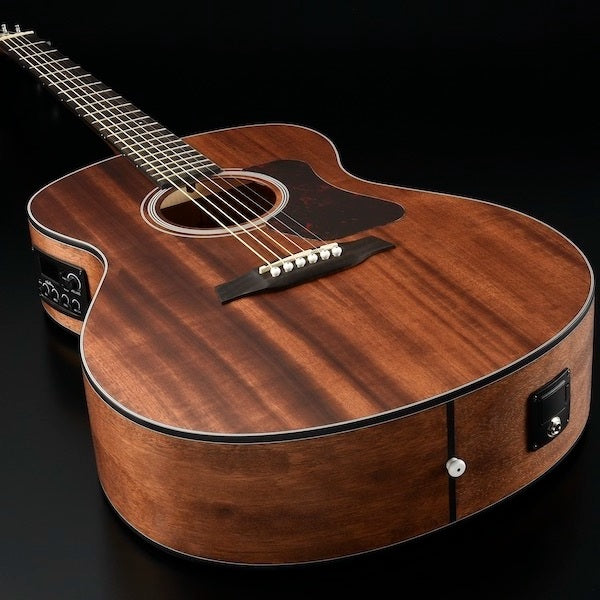 Walden G551EW Western Guitar (Natural)