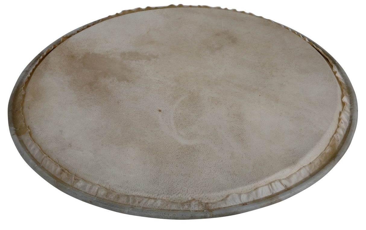 Latin Percussion Percussion drumhead Plenera - 8" (WB505A)