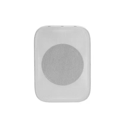 Omnitronic PPS-6T PA Wall Speaker