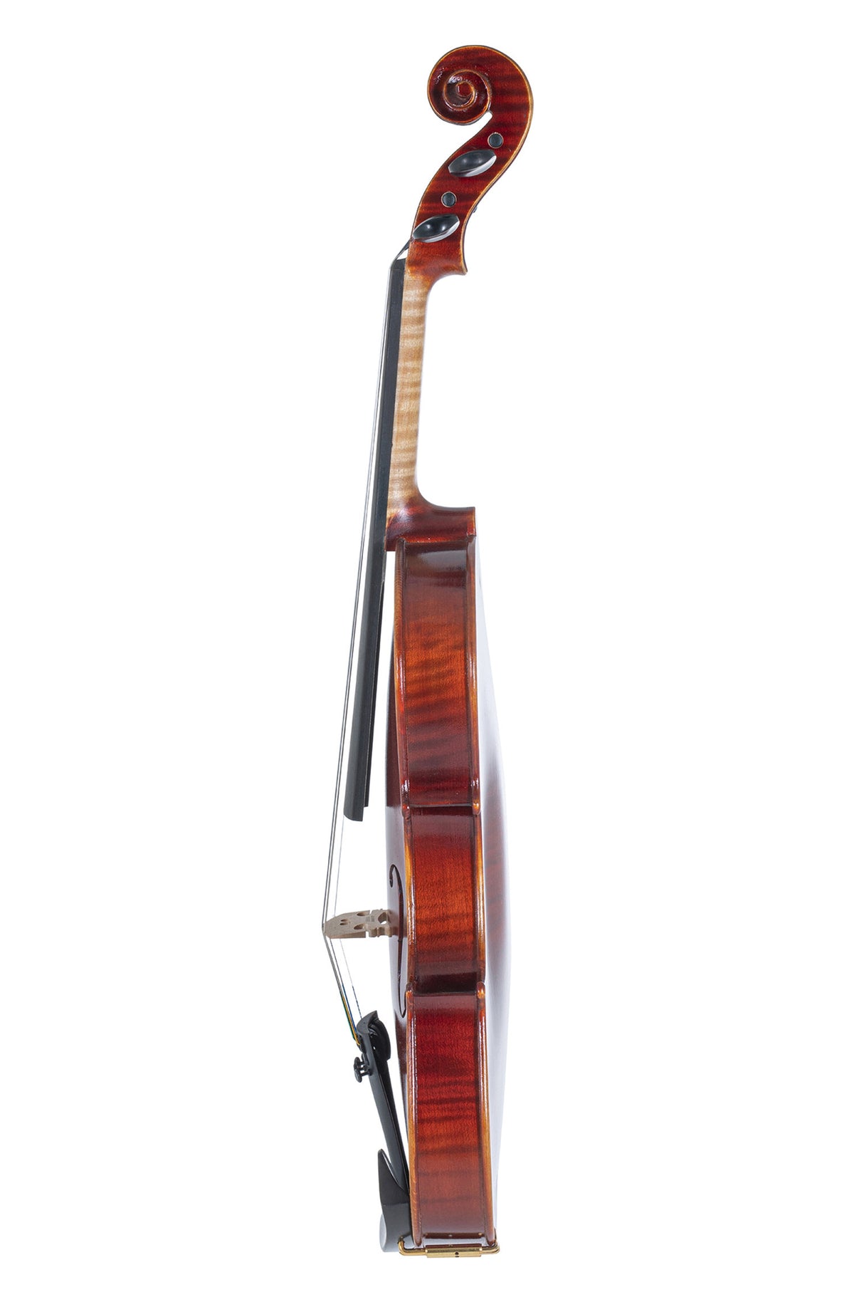GEWA Violins Ideale - 4/4 left-hand (Ready to play including shaped case, without bow, with Larsen Aurora strings, transport-secured)