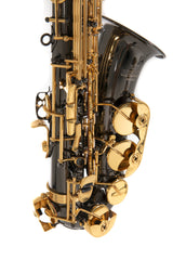Roy Benson Eb Alto Saxophone Roy Benson AS-202K - AS-202K