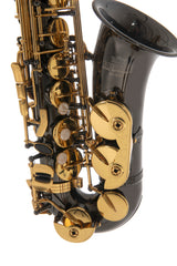 Roy Benson Eb Alto Saxophone Roy Benson AS-202K - AS-202K
