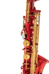 Roy Benson Eb Alto Saxophone Roy Benson AS-202R - AS-202R