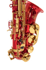 Roy Benson Eb Alto Saxophone Roy Benson AS-202R - AS-202R