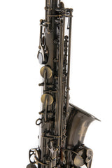 Roy Benson Eb Alto Saxophone Roy Benson AS-202A - AS-202A