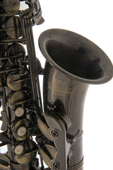 Roy Benson Eb Alto Saxophone Roy Benson AS-202A - AS-202A