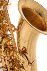 Roy Benson Bb tenor saxophone Roy Benson TS-302 - TS-302