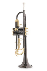 Roy Benson Bb trumpet Roy Benson TR-101K - TR-101K