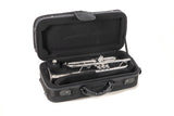 Roy Benson Bb trumpet Roy Benson TR-403 - TR-403S