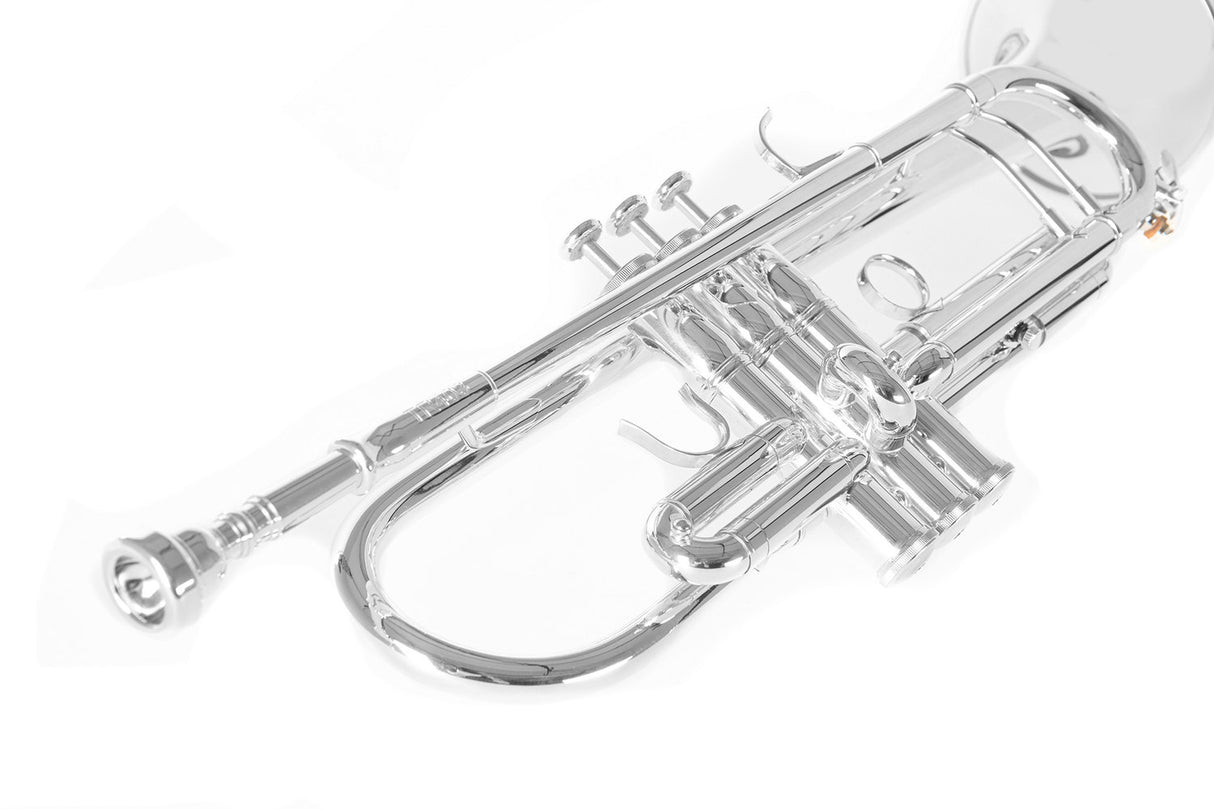 Roy Benson Bb trumpet Roy Benson TR-403 - TR-403S