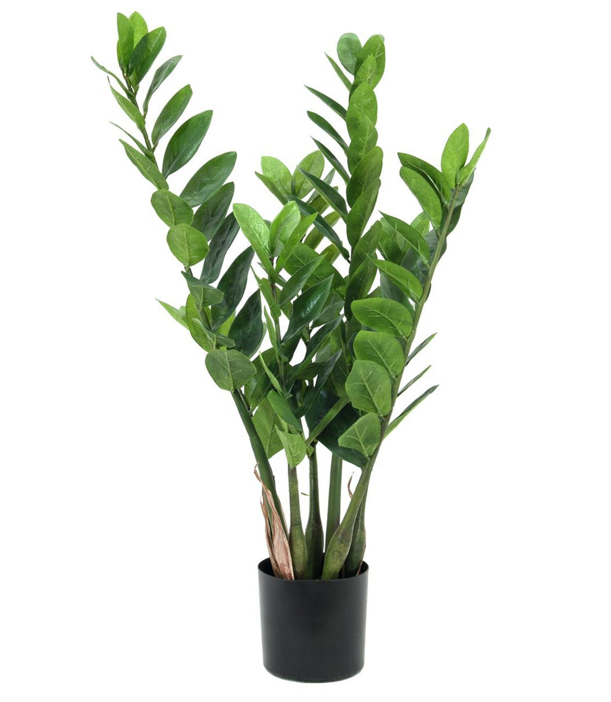 Artificial Zamifolia, 70cm