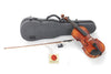 E-Violinists