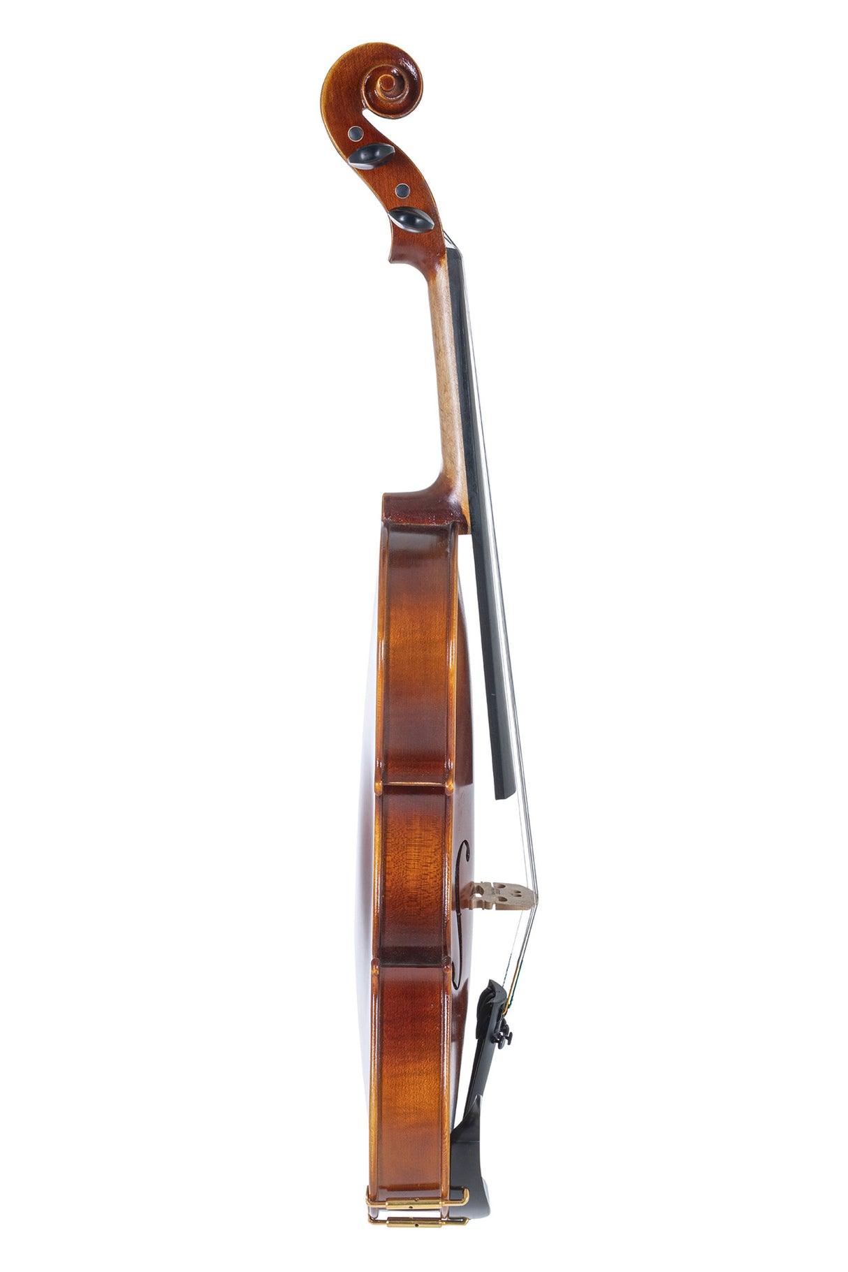 GEWA Violins Allegro - 1/2 (Ready to play including violin case, Massaranduba bow, Larsen Aurora strings, secured for transport)