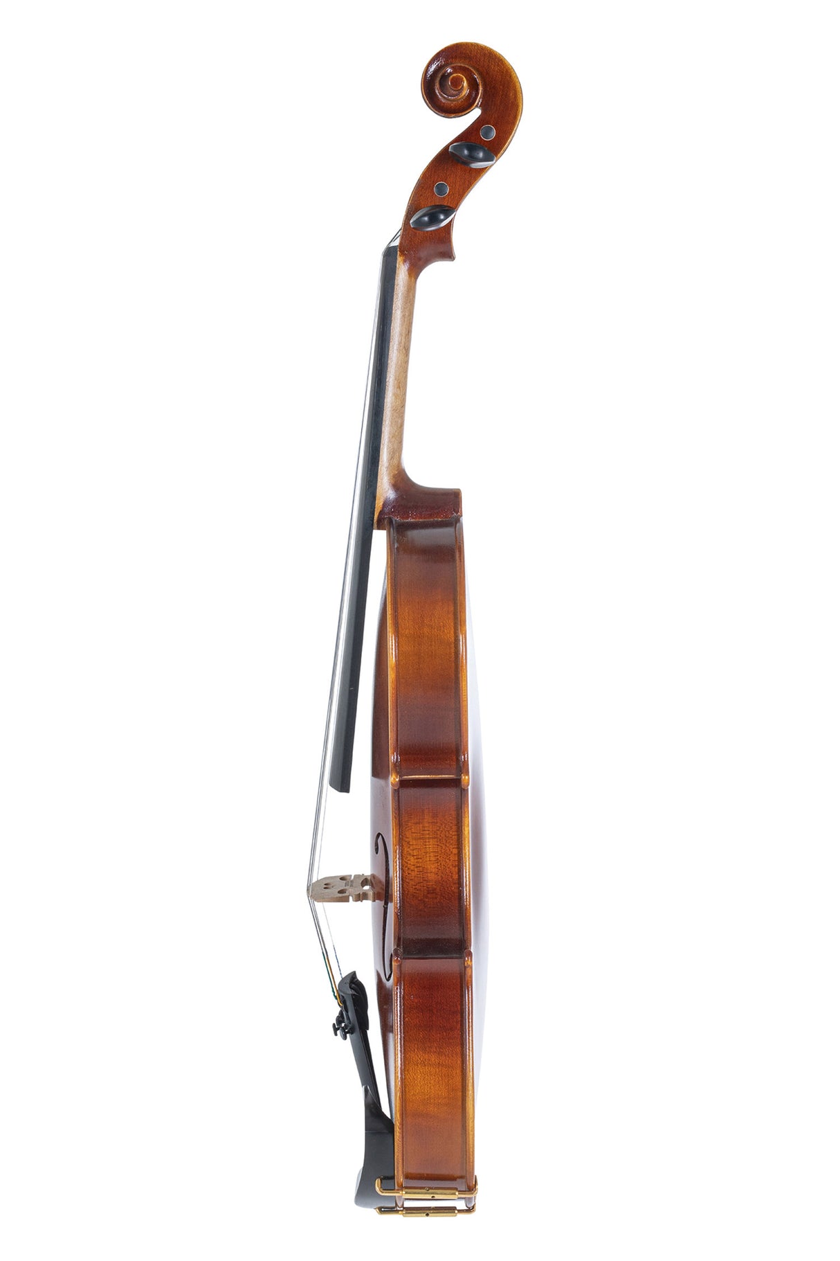 GEWA Violins Allegro - 4/4 left-handed (Ready to play including violin case, Massaranduba bow, Larsen Aurora strings, secured for transport)
