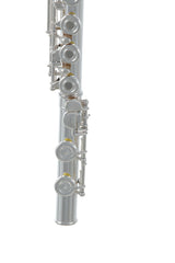 Roy Benson Flute Roy Benson FL-602RI - FL-602RI