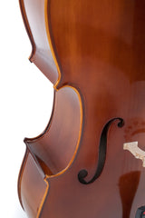 GEWA Cellos Allegro - 1/4 (Ready to play, transport-secured)