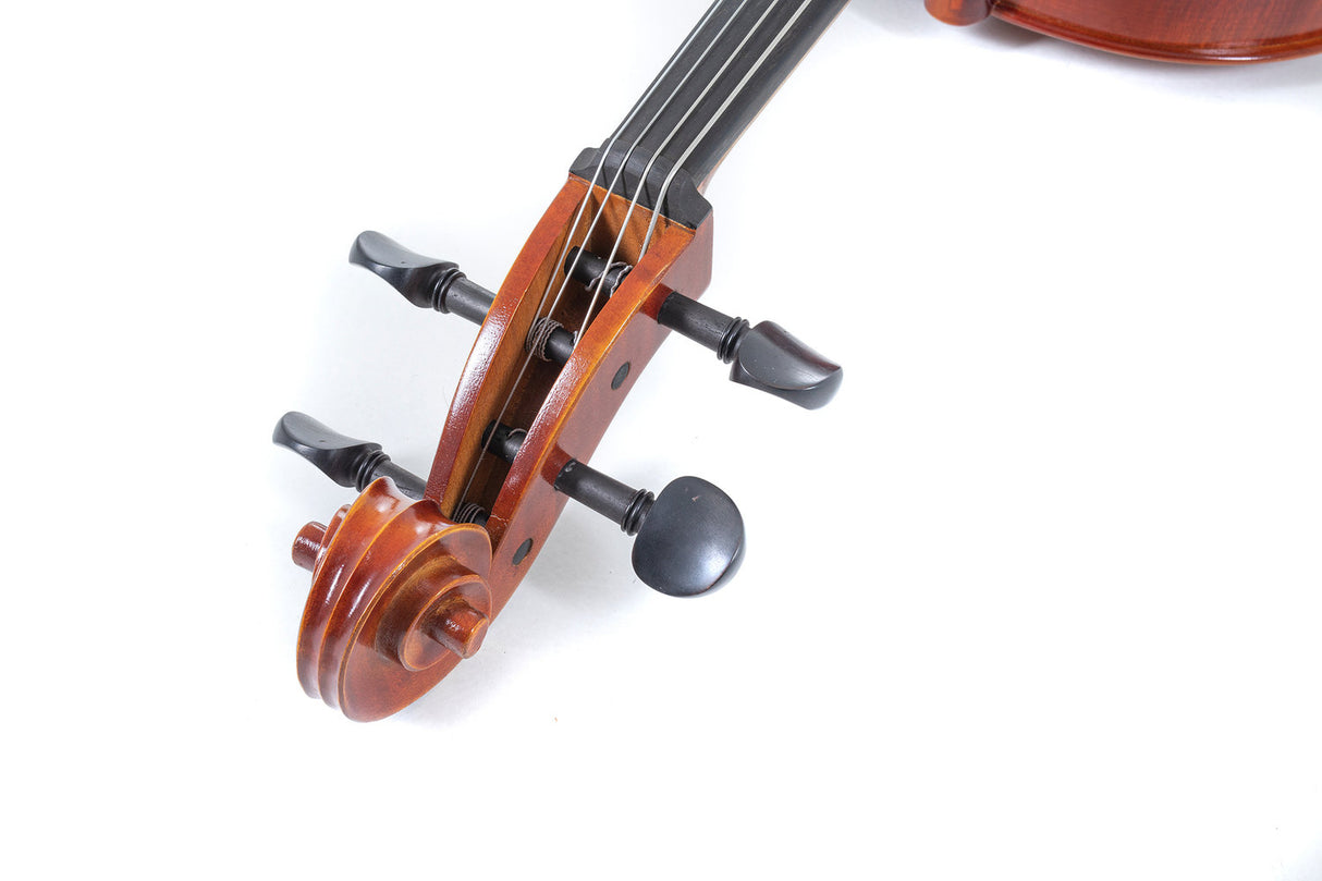 GEWA Cellos Ideale - 1/2 (Ready to play, incl. bag, carbon bow, Larsen Aurora strings, transport-secured)