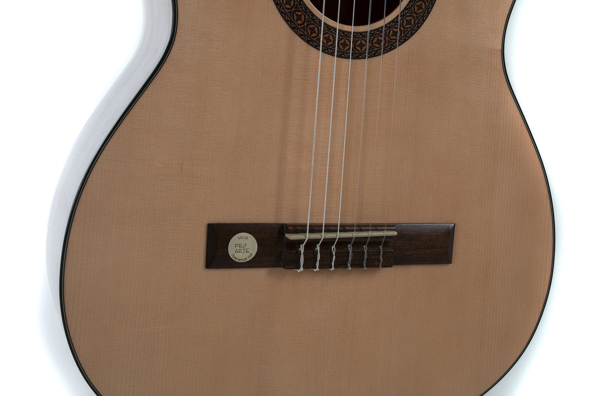 GEWA Classical guitar Pro Arte GC 210 A - 4/4 size