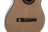 GEWA Classical guitar Pro Arte GC 210 A - 4/4 size