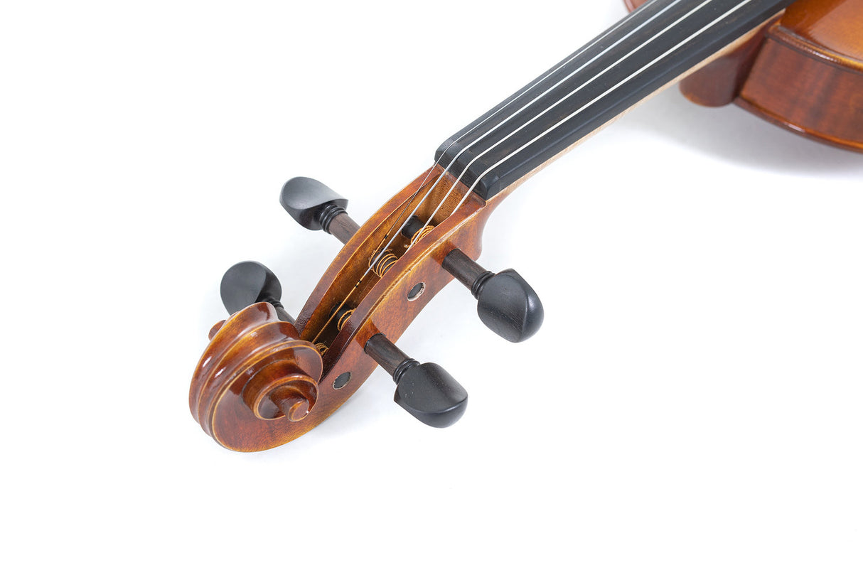 GEWA Violins Maestro 1 - 3/4 (Ready to play incl. violin case, Massaranduba bow and Larsen Aurora strings)
