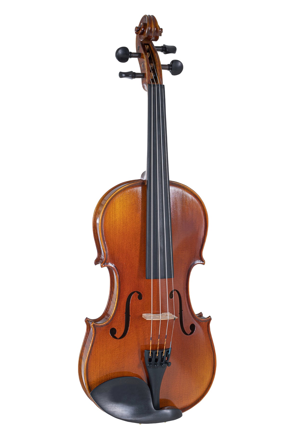 GEWA Violins Maestro 1 - 1/2 (Ready to play, secured for transport)