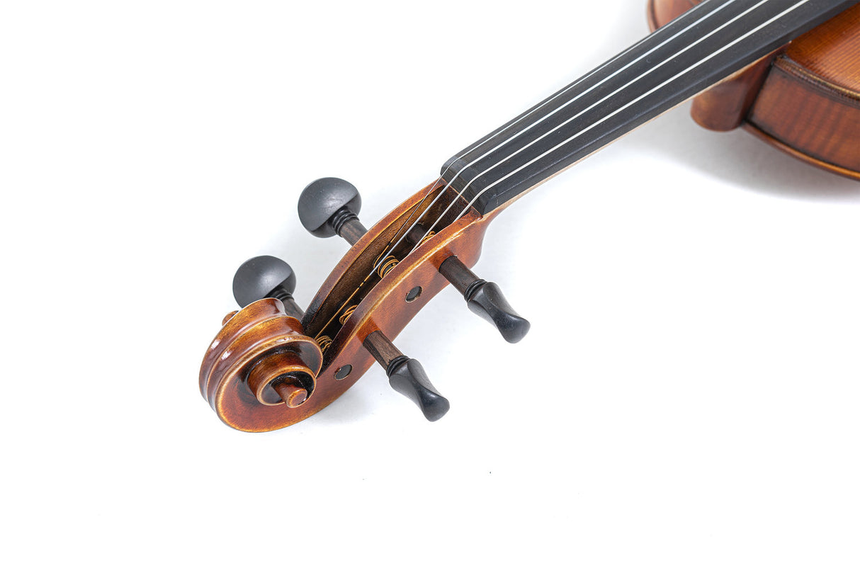 GEWA Violins Maestro 2 - 3/4 (Ready to play incl. violin case, without bow, with Larsen Aurora strings, transport-secured)