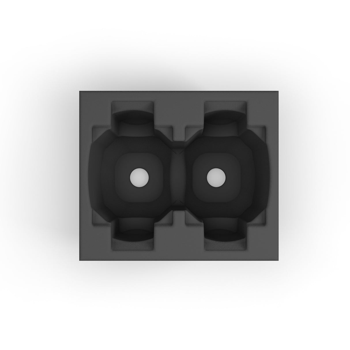 Cameo AURO® SPOT Z300 INSERT - foam insert for case for 2 x CLASZ300
