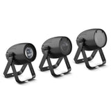 Cameo Q-SPOT 40 WW - Compact spot with 40 W WW LED in black finish