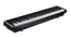 Grooveland P450 Electric Piano (Black)
