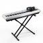 Grooveland P22 Electric Piano Pack (White)