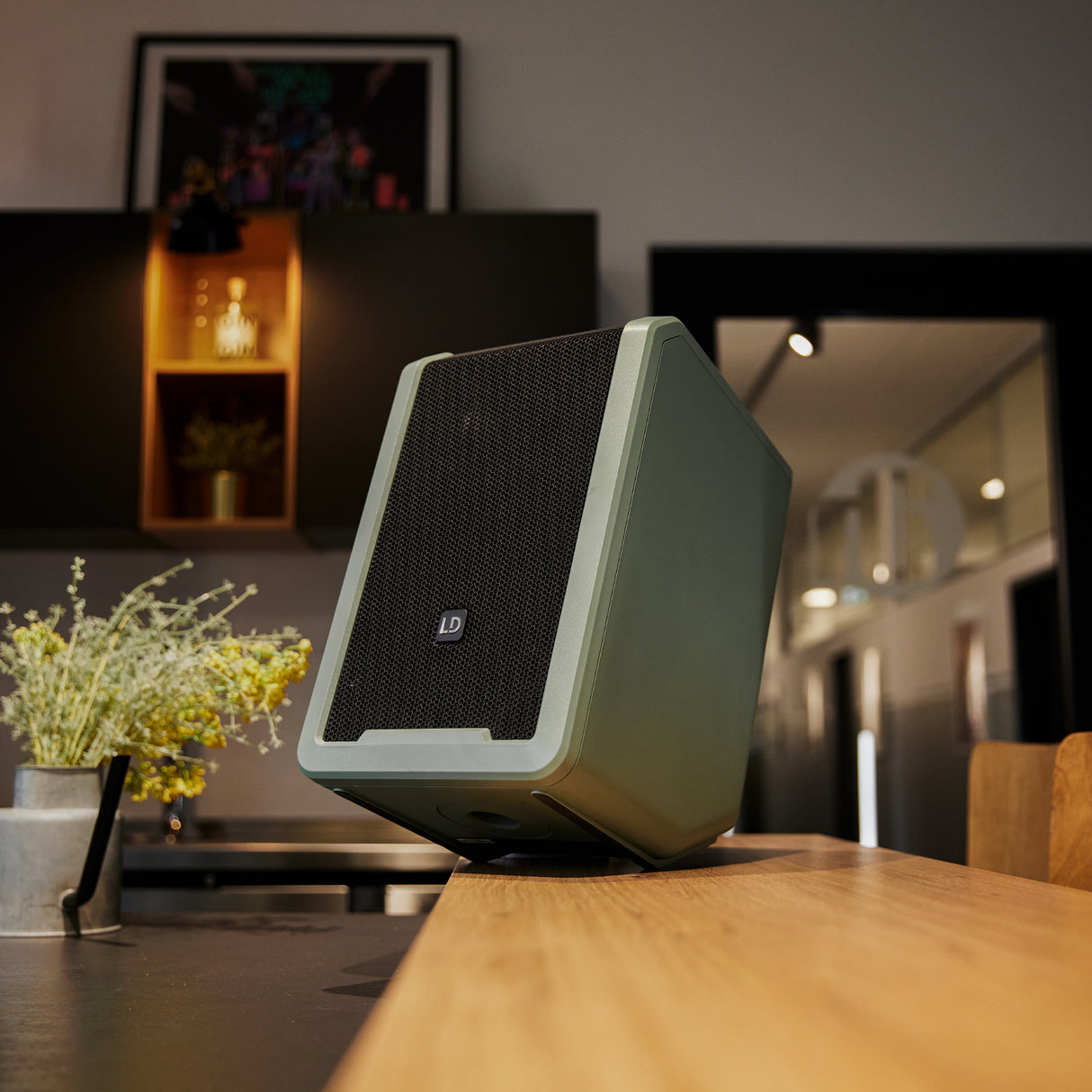 LD Systems ANNY® 8 HHD B6 GN - Portable battery-powered Bluetooth® PA speaker with mixer and 1x wireless handheld microphone, Adventure Green