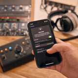 Palmer MONICON L G2 G - Active / Passive studio monitor controller