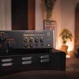 Palmer SUPREME SOAKER - Analog dynamic tube amplifier hub