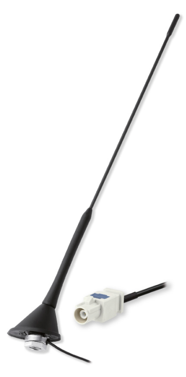 AM/FM Tag antenna