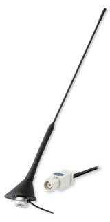 AM/FM Tag antenna