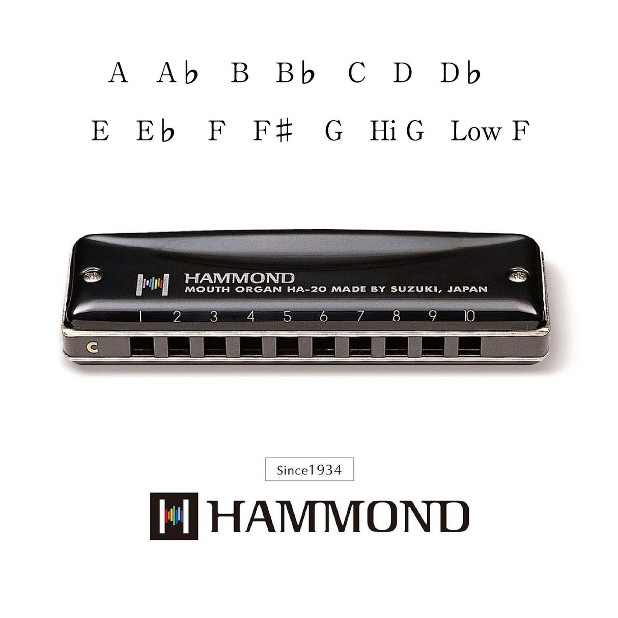 Hammond HA-20 Harmonica - G
