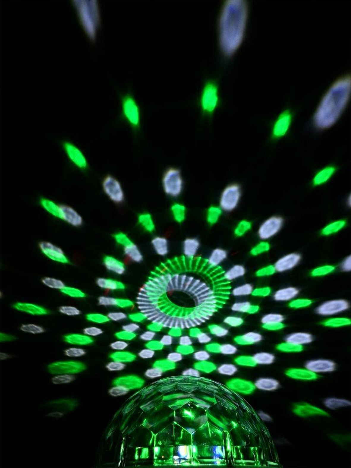 Ibiza Astro-Bat RGBA LED disco light