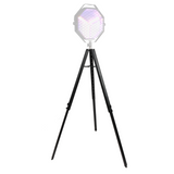 DNA RS1 stand for light and sound