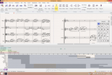 Sibelius Ultimate Perpetual License