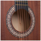 NN AG 34 acoustic guitar 1/2 matte for learning to play