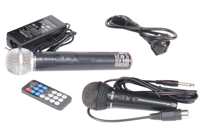 Ibiza BT8HH Portable Speaker