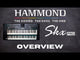 Hammond SKX PRO Organ