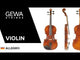 GEWA Violins Allegro - 1/4 (Ready to play including violin case, Massaranduba bow, Larsen Aurora strings, secured for transport)