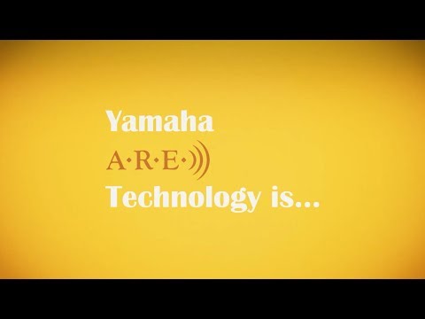Yamaha A5R ARE Western Guitar