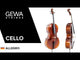 GEWA Cellos Allegro - 3/4 (Ready to play incl. bag, carbon bow, Larsen Aurora strings, secured for transport)
