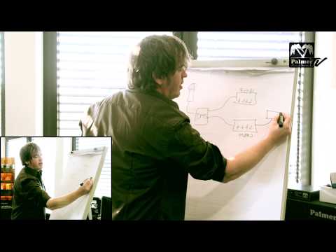 Palmer DMS - Dynamic microphone switcher