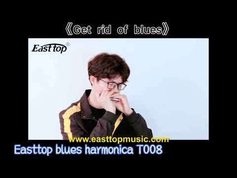 Easttop T008 Blues Harmonica (A)