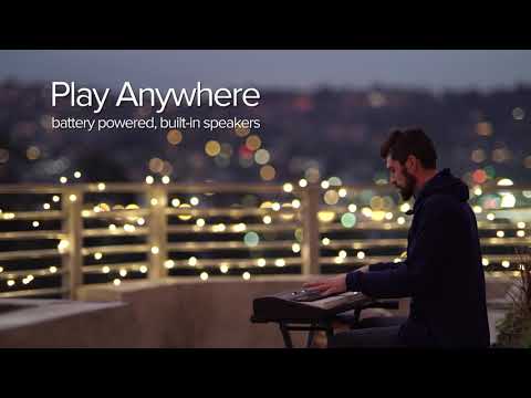 Roland GO:PIANO 88PX Starter Pack