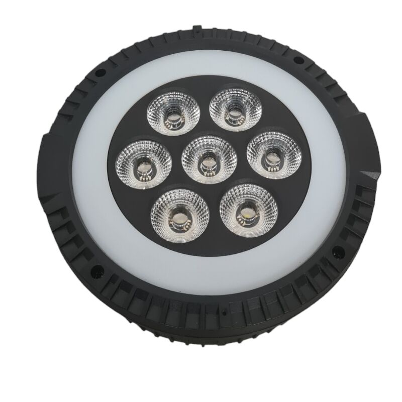 LIGHT4ME RINGO PAR LED PAR Spot with LED Ring and remote control